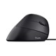 Trust 24635 Bayo Dikey Ergonomik Mouse